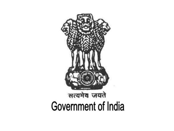 GDP back series data unofficial estimates: Centre