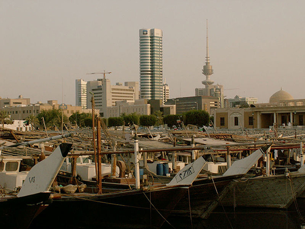 Egypt to resume Arabian horses exportation to Kuwait