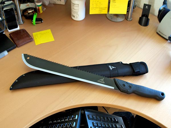 Machete-wielding 11-year-old foils North Carolina home invasion