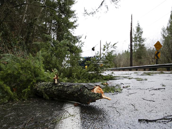 Northwest Storm Causes Damage, Road Closures in Washington; 1 Killed in British Columbia