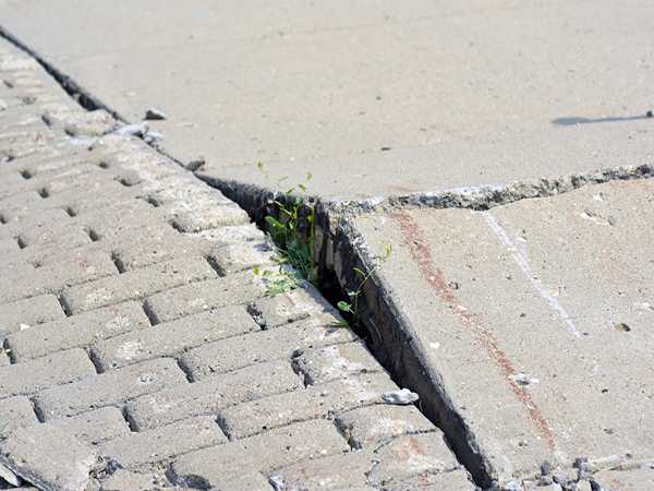 Neglected, uneven sidewalk surrounding Richmond school to be replaced after classes begin