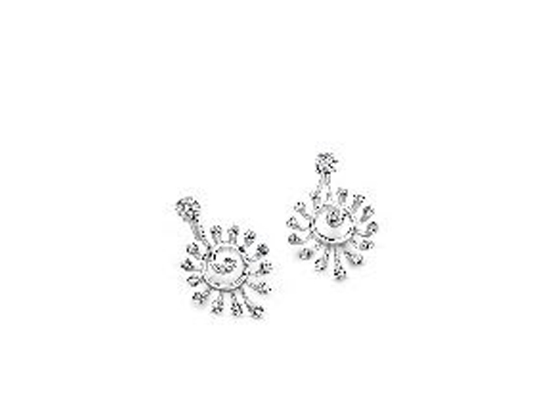 Platinum earrings by Platinum Evara
