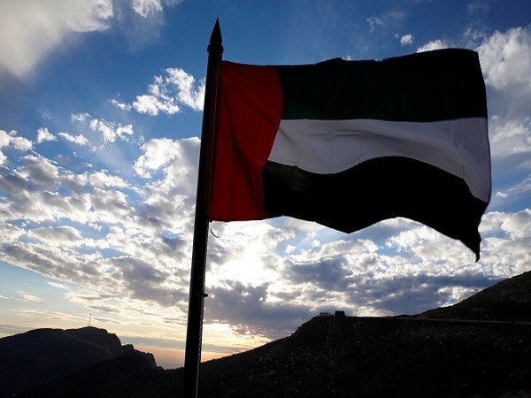 Embassy asks Pakistanis in UAE to abide by nation's social media rules