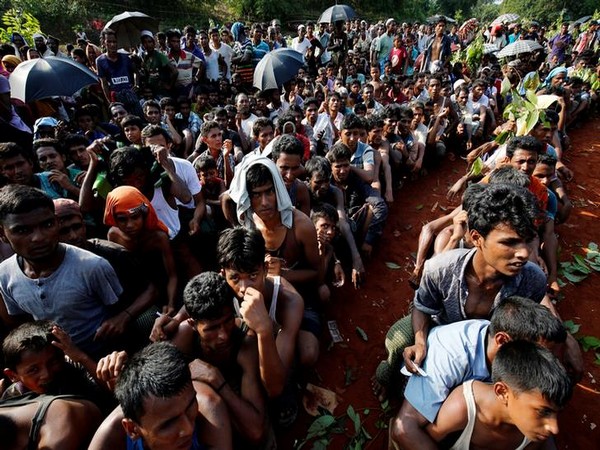 Probe Myanmar military leaders over Rohingya issue: UN
