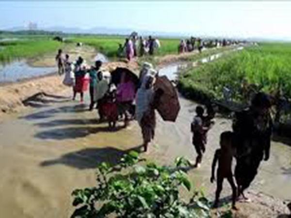 Are all Rohingyas converging on Bangladesh?