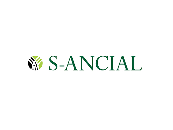 S-Ancial Technologies