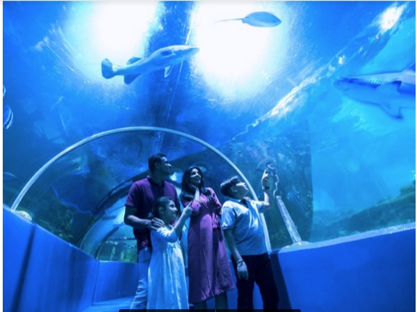 Underwater Tunnel, VGP Marine Kingdom becomes largest walk-through aquarium in India