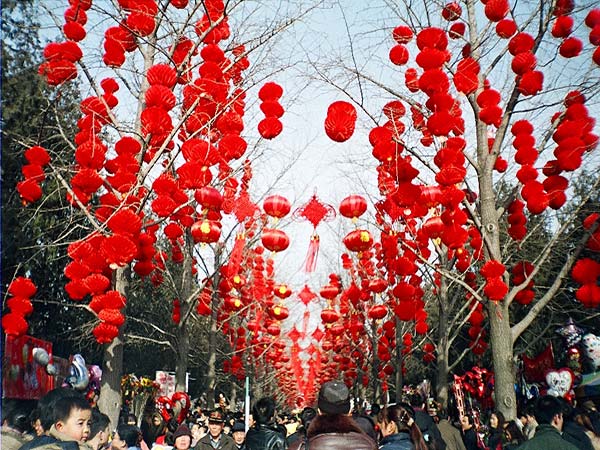 Xi visits cadres, residents in Beijing ahead of Spring Festival