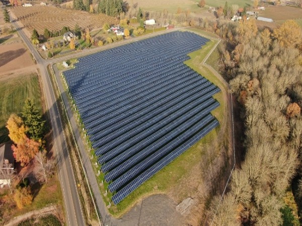 Sterling and Wilson Solar reports slight fall in Q1 revenue at Rs 1,068 crore