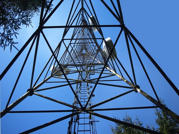 Bimal Dayal to be CEO after merger of Indus Towers with Bharti Infratel