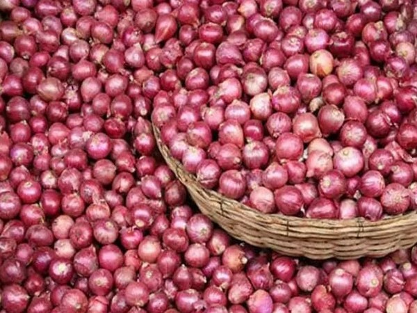 Wholesale inflation up at 2.59 pc in December on higher food prices