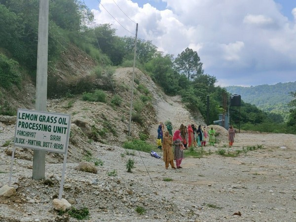 J-K villagers cultivate lemongrass to drive away monkeys, utilise barren land