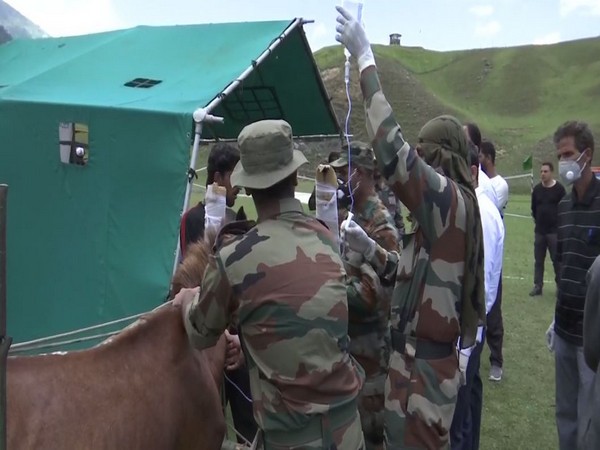 Indian Army organises free veterinary camp at Kupwara's Bangus valley