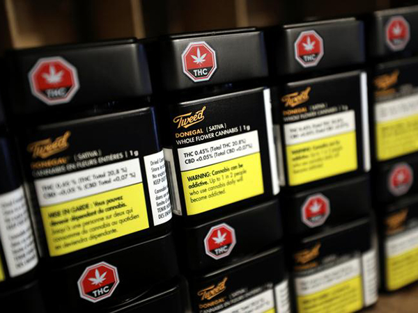 Calgary wants more revenue from cannabis legalization