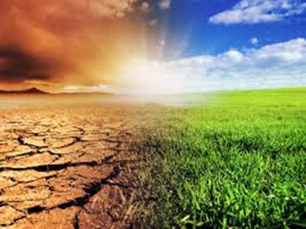 Daily Poll: Should Vancouver declare a climate emergency?