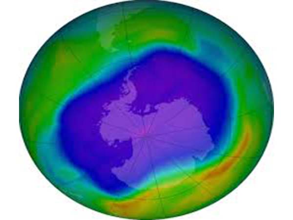 Use of future climate projections discussed