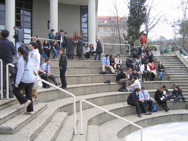 International students should leave US or face immigration consequences if online classes are held: State Dept