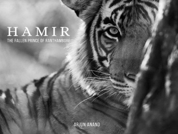 Arjun Anand launched his maiden book Hamir - The Fallen Prince of Ranthambore