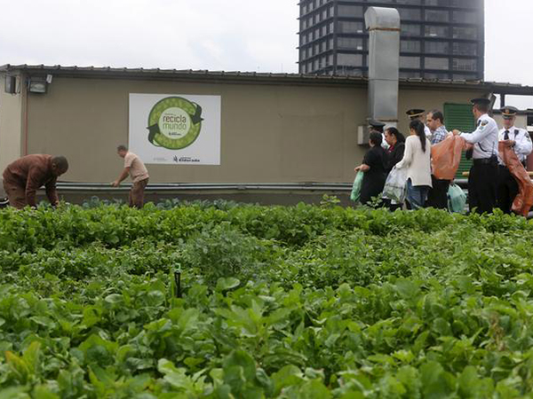 Sunday at 11: Washington on track to be first state to allow human composting