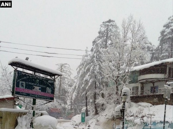 Kashmiri youths yearning for development, say 'paradise can't exist without peace'