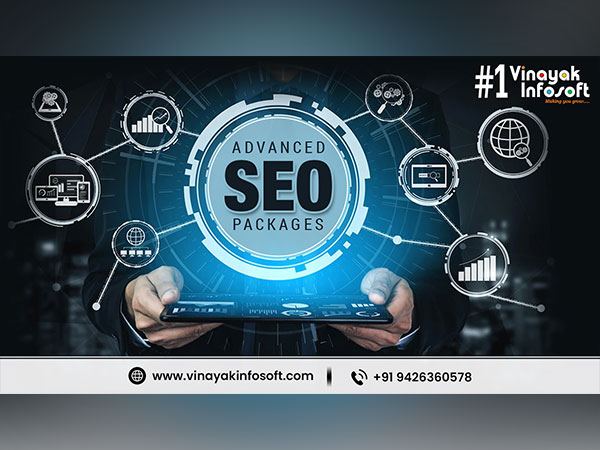 Vinayak InfoSoft launches Advanced SEO Packages