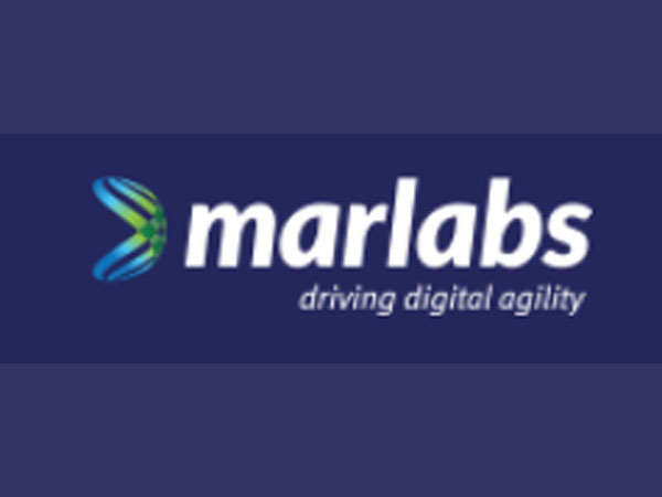Vikas Kumar appointed Chief Commercial Officer at Marlabs