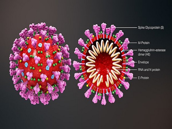 Virologist who fled to US from Hong Kong accuses China of coronavirus cover-up