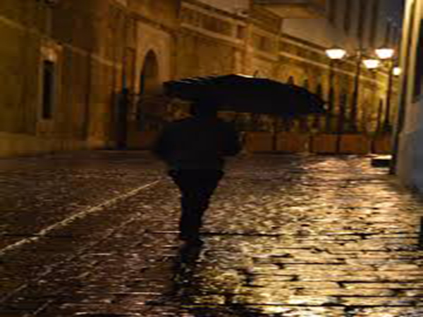 A soggy December put an exclamation mark on Washington's wettest year ever recorded
