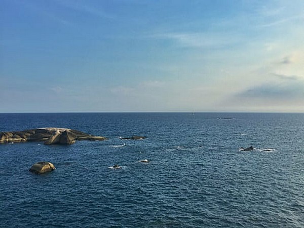 China discreetly launches initiative to combat 'illegal activities in key areas' in South China Sea