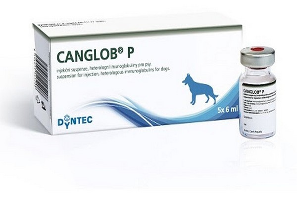 Canglob P, Hyperimmune Immunoglobulin against Parvovirus