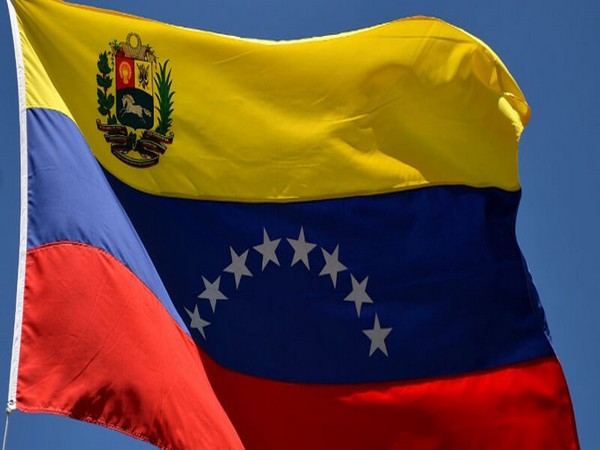 Venezuelan Parliamentary elections to be held in December - Head of Electoral Council