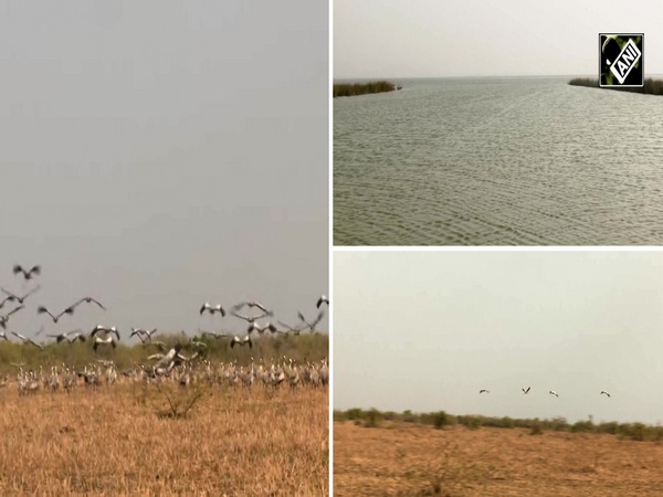 Gujarat’s Chhari-Dhandh Gets Ramsar Tag, Boosts Wetland Conservation