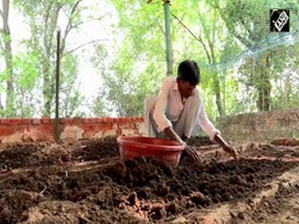 Gujarat Institutions Turn Self-Reliant in Cooking Gas with Biogas Push