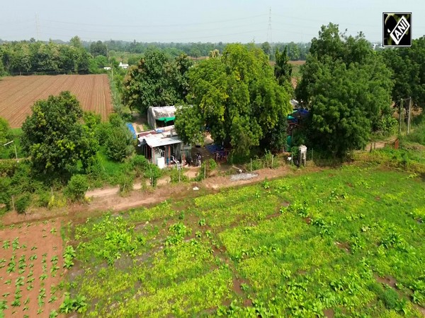 From Tobacco to Bananas: Gujarat Farmer’s natural farming success story