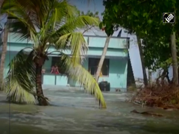 Sea incursion in Kerala's Kochi damages houses in coastal area