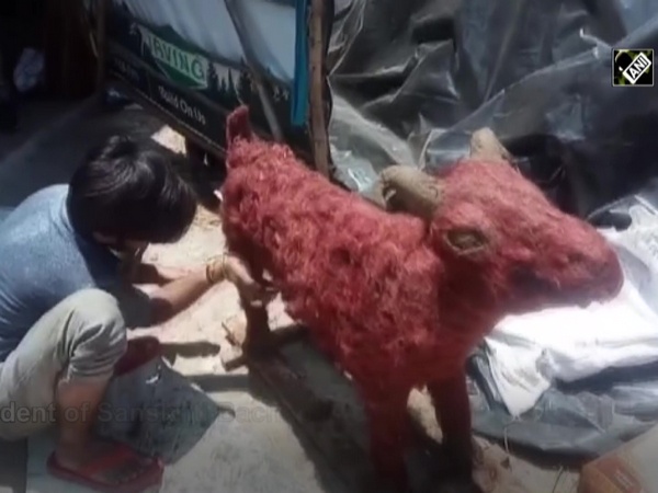 Nature lover urges Muslim religious leaders to sacrifice eco-friendly goats on ‘Eid al-Adha’