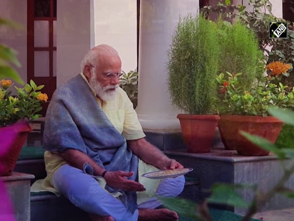 Watch: PM Modi shares precious moments with peacocks