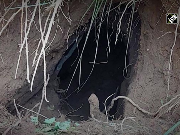 BSF finds tunnel along India-Pakistan border in J&K