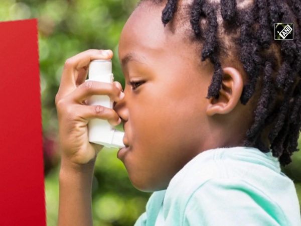 Study reveals children with asthma could benefit from prescribing according to genetic differences
