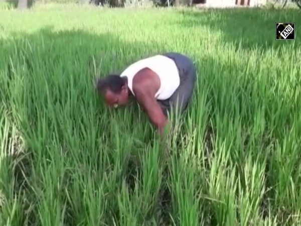 Farmers in Gaya thank Modi govt for bringing new farm laws