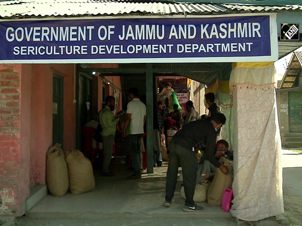 Sericulture farmers in J&K get helping hand in auction amid COVID-19