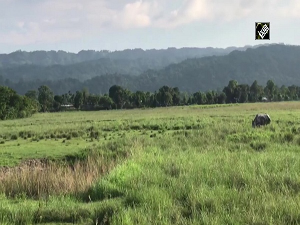 Plan to open Kaziranga National Park halted