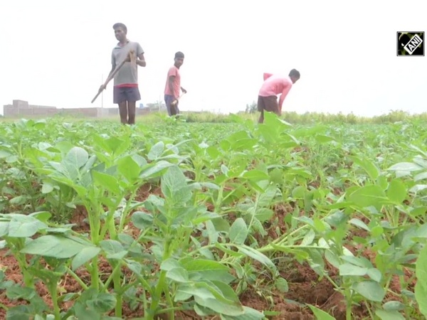 Jharkhand’s Ranchi farmers hail new agri reforms