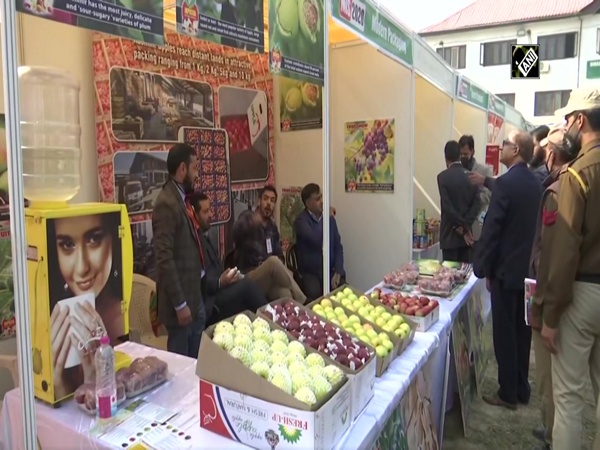 Apple growers of Kashmir laud Centre’s Market Intervention Scheme, expect profit