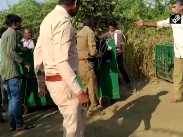 Watch: Leopard captured in MP's Barwani