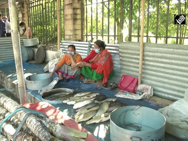 Imphal holds fair to sell fish at 20% discount amid COVID pandemic