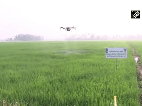 Watch: Drones being used as replacement of labourers to spray fertilisers in Kerala
