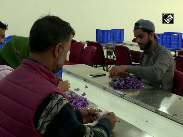 High tech Spice Park brings cheer for saffron growers in Kashmir