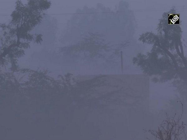 Shallow fog envelopes Delhi-Haryana border