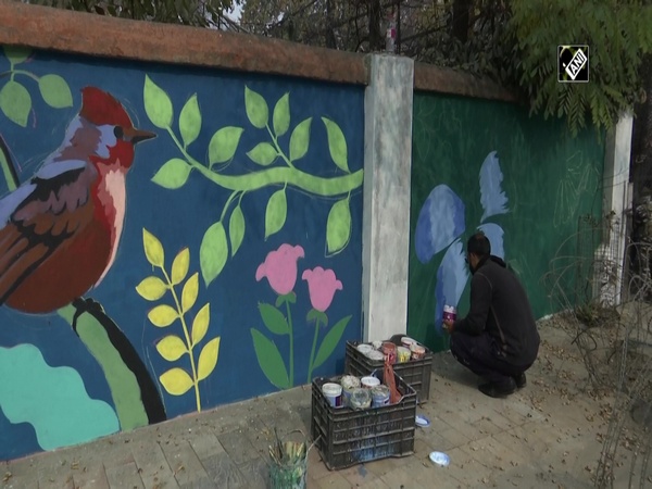 Graffiti art work adds beauty to Walls in Srinagar
